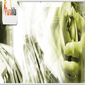 Domain Name India