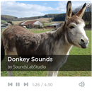 Donkey Sounds APK