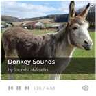Donkey Sounds icône
