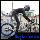 Collection Drag Racing APK