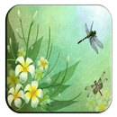 Dragonfly Wallpaper-APK