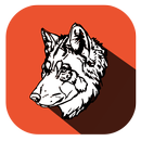 Draw and Color Wolf APK