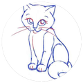 How To Draw Cats