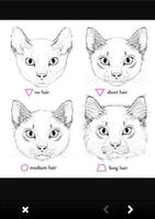How To Draw Cats Affiche