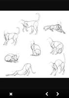 How To Draw Cats capture d'écran 3