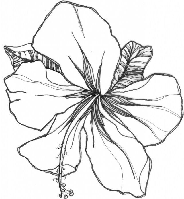 Draw Flower Easy for Android - APK Download
