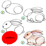 Drawing for Beginner Tutorials