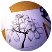 Drawing Flowers Tutorials