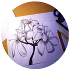 Drawing Flowers Tutorials icône