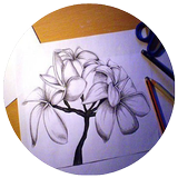 Icona Drawing Flowers Tutorials