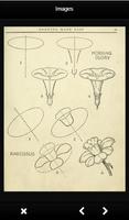 Poster Drawing Flowers Tutorials