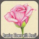 Drawing Flower with Pencil APK