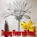 Drawing Flower with Pencil Design APK