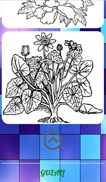 Cara Menggambar Bunga for Android APK Download Cara Menggambar Bunga for Android APK Download