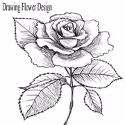 Drawing Flower Design