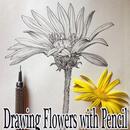 Drawing Flowers with Pencil Ideas APK