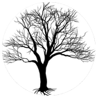 Learn To Drawing Trees icon