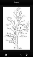 Learn To Drawing Trees poster