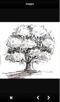 Learn To Drawing Trees capture d'écran 2