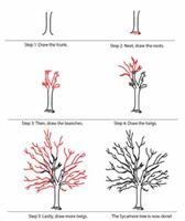 3 Schermata Drawing Trees