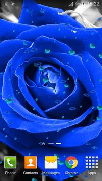 Blue Rose Hd Wallpaper For Mobile