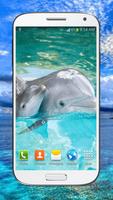 Delfín Fondos Animados captura de pantalla 3