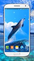 Dolphin Live Wallpaper HD পোস্টার