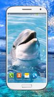 دلفين خلفيات حية تصوير الشاشة 1