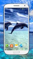 Dolphin Live Wallpaper HD স্ক্রিনশট 2