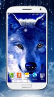 Wolf Live Wallpaper HD پوسٹر