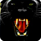 Black Panther Wallpaper icône