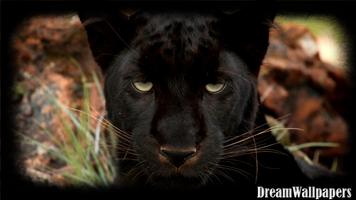 Black Panther Wallpaper capture d'écran 3