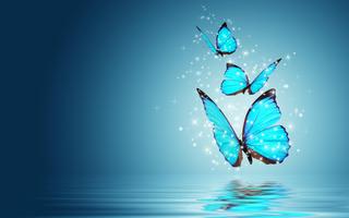 Butterfly Live Wallpaper captura de pantalla 1