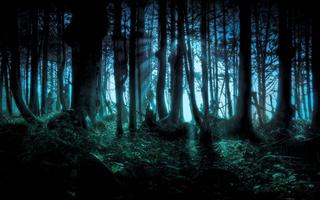 Dark Forest Live Wallpaper постер