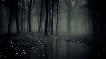 Dark Forest Live Wallpaper capture d'écran 1