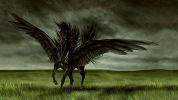 Dark Pegasus Live Wallpaper Affiche