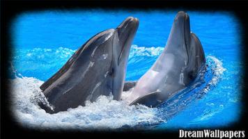 Dolphins Wallpaper capture d'écran 1