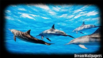 Dolphins Wallpaper ภาพหน้าจอ 2