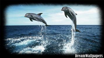 Dolphins Wallpaper स्क्रीनशॉट 3