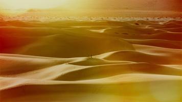 Dunes Live Wallpaper capture d'écran 1