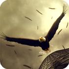 Eagle Live Wallpaper-icoon
