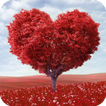 Heart Tree Live Wallpaper