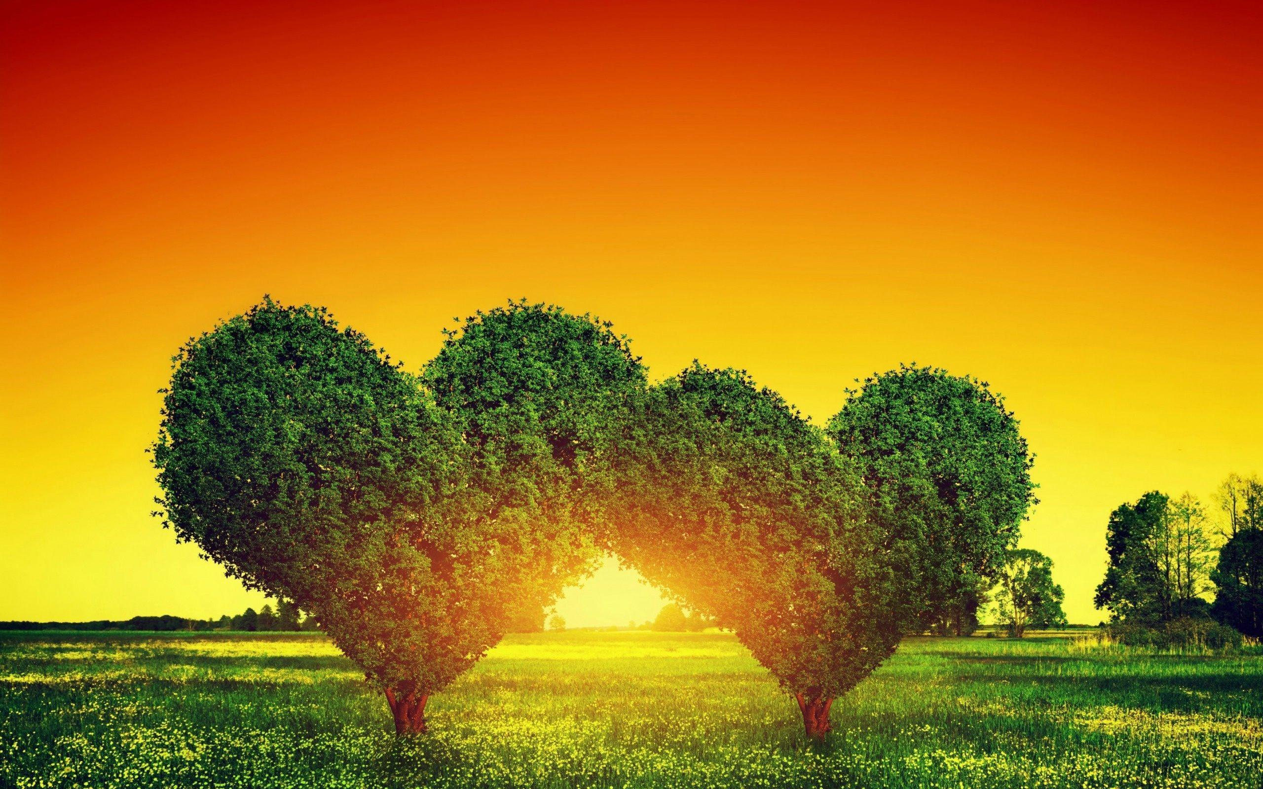 Heart Tree Live Wallpaper for Android - APK Download