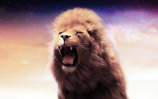 Lion Animal Live Wallpaper plakat