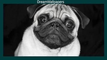 Pug Live Wallpaper capture d'écran 3