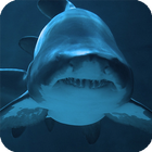 Shark Live Wallpaper أيقونة