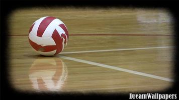 Volleyball Wallpaper screenshot 3