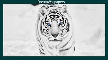 White Tiger Wallpaper ポスター