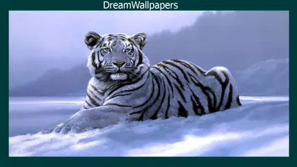 White Tiger Wallpaper APK download