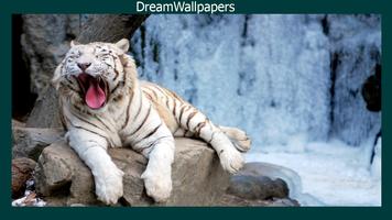 White Tiger Wallpaper スクリーンショット 2
